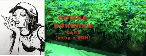 каннабис Арсеньев