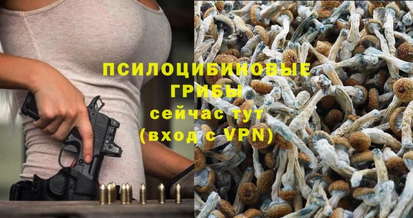 MDMA Premium VHQ Аркадак
